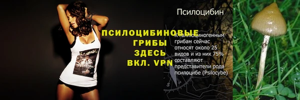 дмт Алексин
