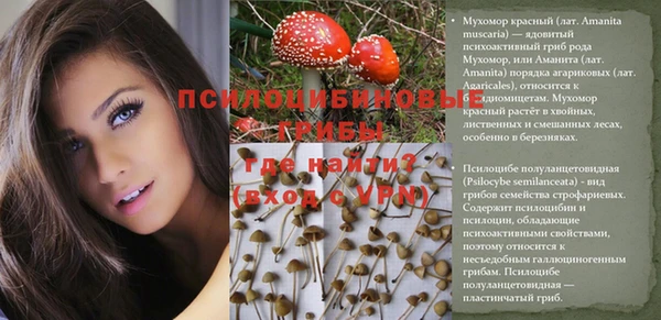 spice Алзамай