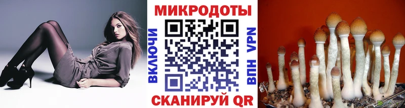 Псилоцибиновые грибы мухоморы  Бабаево 